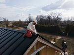 Learn About Roof Leak Prevention With Roofing Facts And Practical Details