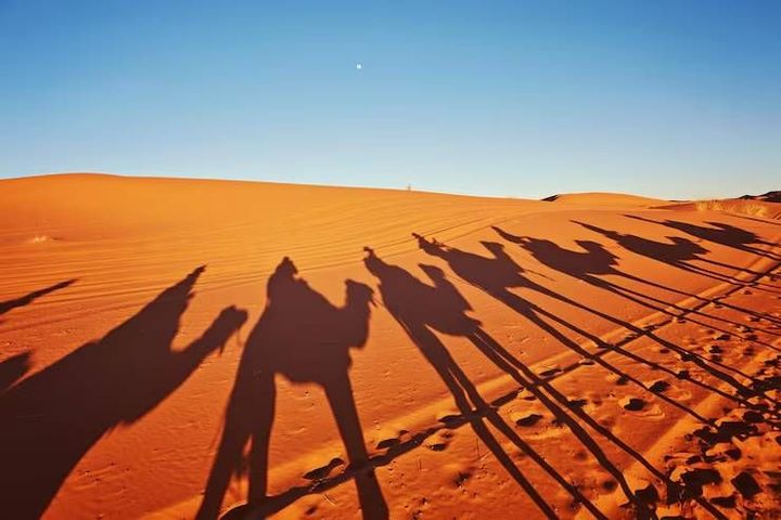 Dubai Desert Safari: Travel Guide, Safety Rules and Tips