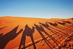 Dubai Desert Safari: Travel Guide, Safety Rules and Tips