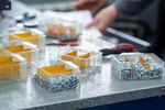Plastic Molding Guide With Manufacturing Process Insights And Details
